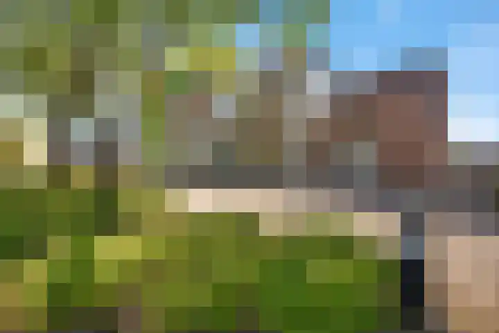 Kamerlingswijk WZ 88 B Zwartemeer thumbnail 17