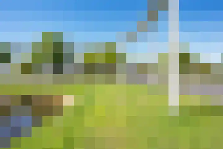 Kamerlingswijk WZ 88 B Zwartemeer thumbnail 17