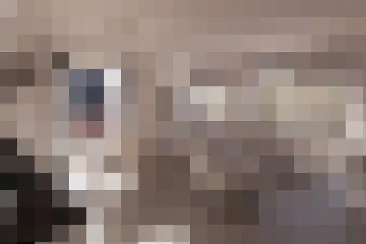 Kamerlingswijk WZ 88 B Zwartemeer thumbnail 4