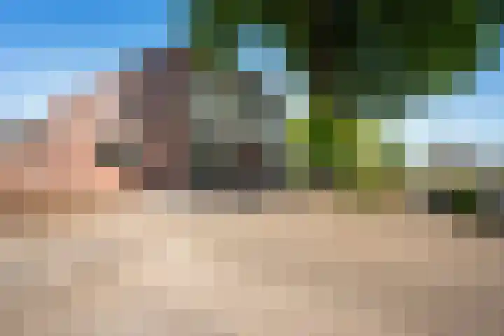 Kamerlingswijk WZ 88 B Zwartemeer thumbnail 4