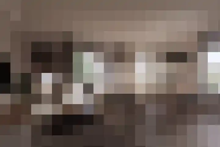 Kamerlingswijk WZ 88 B Zwartemeer thumbnail 6