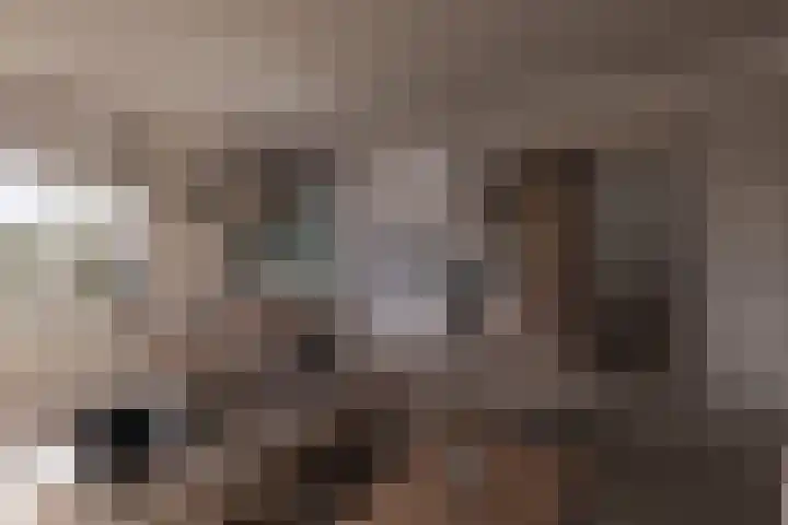 Kamerlingswijk WZ 88 B Zwartemeer thumbnail 7