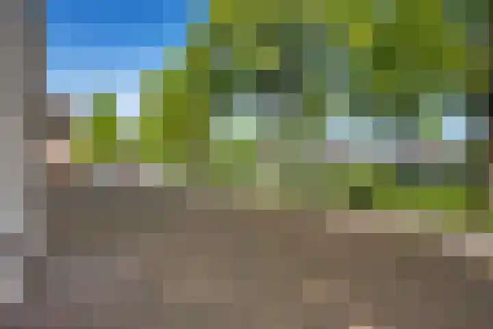Kamerlingswijk WZ 88 B Zwartemeer thumbnail 7