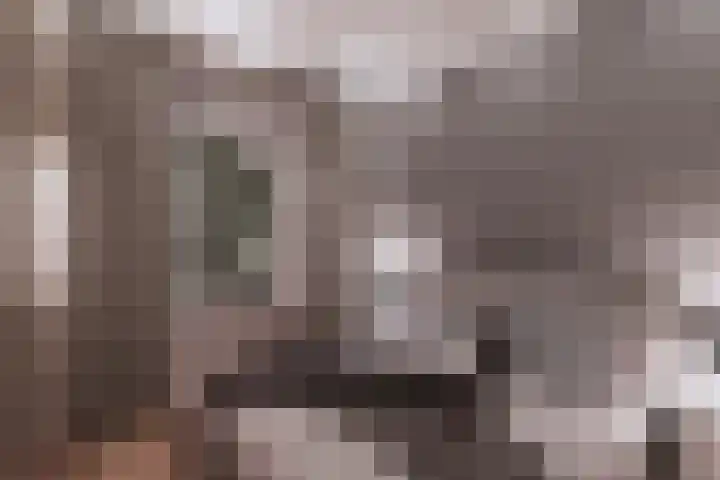 Kamerlingswijk WZ 88 B Zwartemeer thumbnail 8
