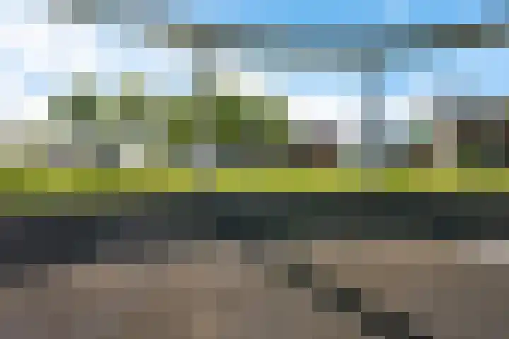 Kamerlingswijk WZ 88 B Zwartemeer thumbnail 9
