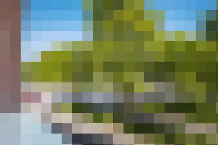 Kamerlingswijk WZ 88 B Zwartemeer thumbnail 9