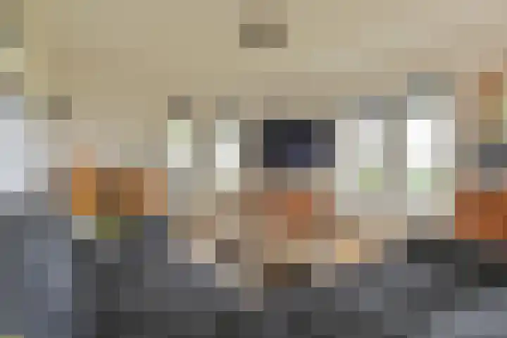 Kamerlingswijk WZ 88 Zwartemeer thumbnail 14