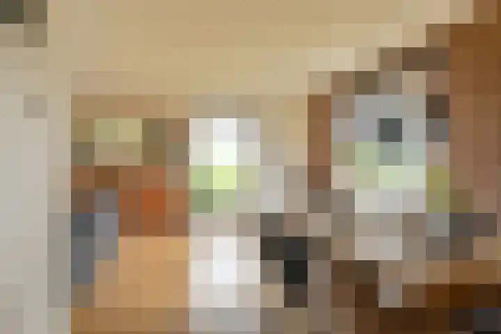 Kamerlingswijk WZ 88 Zwartemeer thumbnail 20