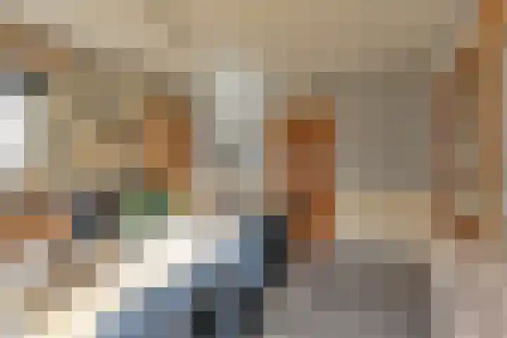 Kamerlingswijk WZ 88 Zwartemeer thumbnail 25