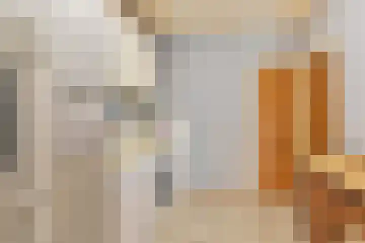 Kamerlingswijk WZ 88 Zwartemeer thumbnail 30