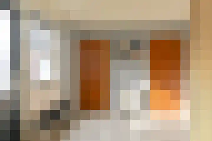 Kamerlingswijk WZ 88 Zwartemeer thumbnail 31