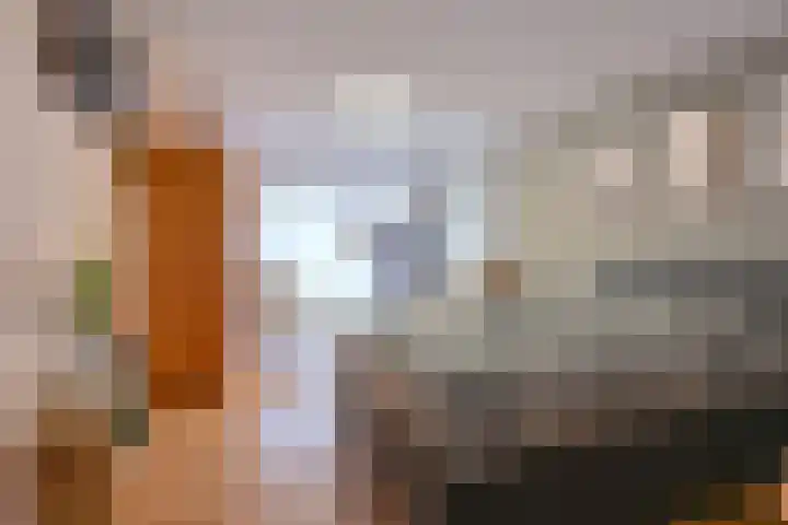 Kamerlingswijk WZ 88 Zwartemeer thumbnail 34