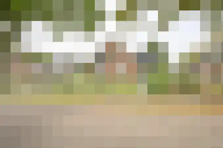 Kamerlingswijk WZ 88 Zwartemeer thumbnail 4