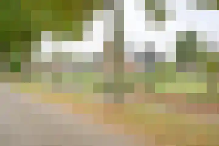 Kamerlingswijk WZ 88 Zwartemeer thumbnail 5