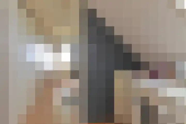 Kamerlingswijk WZ 88 Zwartemeer thumbnail 56