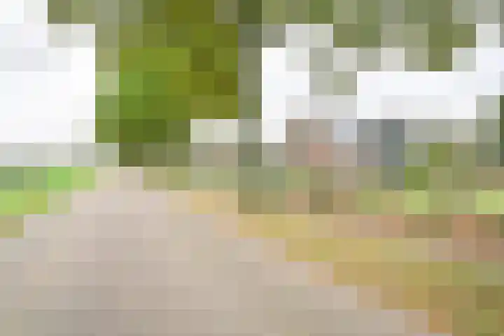 Kamerlingswijk WZ 88 Zwartemeer thumbnail 6