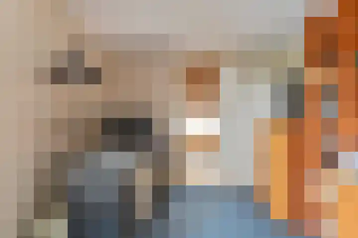 Kamerlingswijk WZ 88 Zwartemeer thumbnail 62