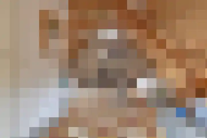 Kamerlingswijk WZ 88 Zwartemeer thumbnail 64
