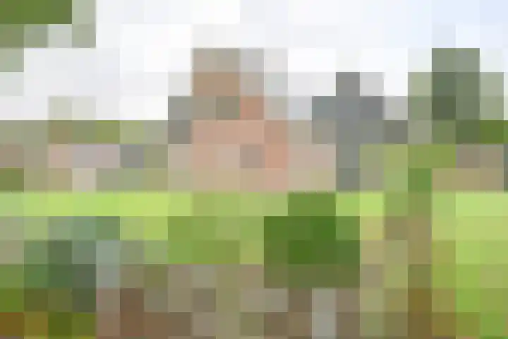 Kamerlingswijk WZ 88 Zwartemeer thumbnail 7