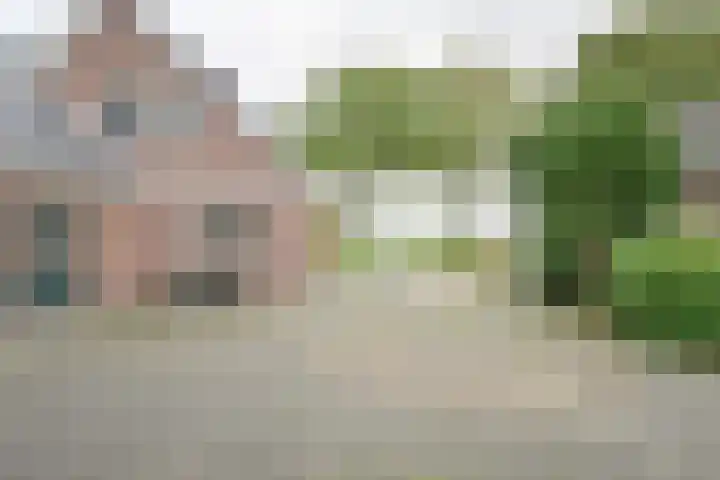 Kamerlingswijk WZ 88 Zwartemeer thumbnail 70