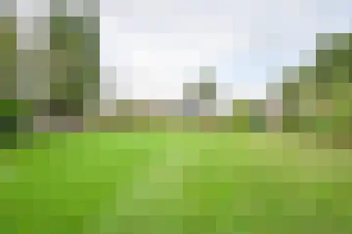 Kamerlingswijk WZ 88 Zwartemeer thumbnail 75