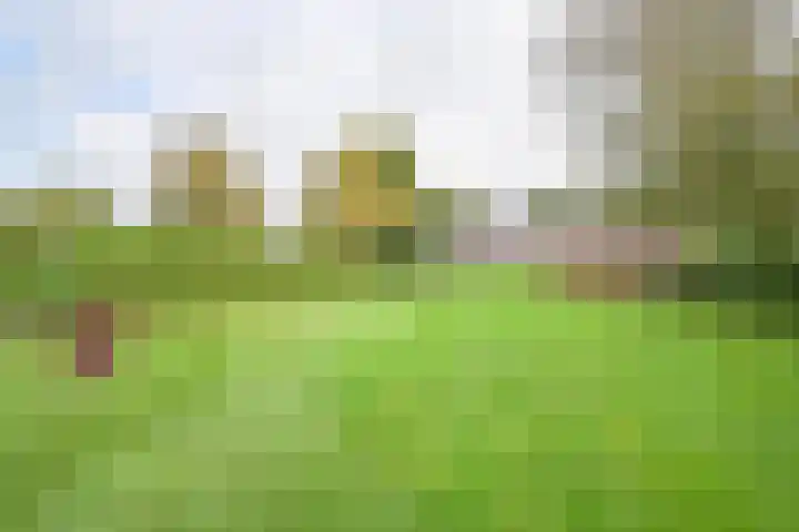 Kamerlingswijk WZ 88 Zwartemeer thumbnail 76