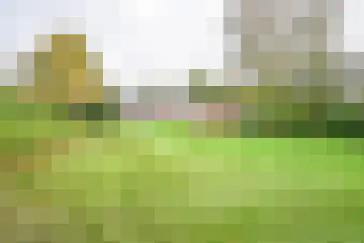 Kamerlingswijk WZ 88 Zwartemeer thumbnail 77