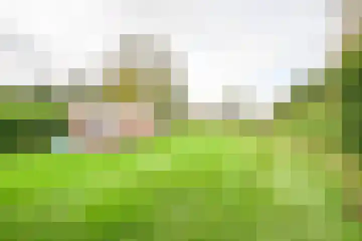 Kamerlingswijk WZ 88 Zwartemeer thumbnail 78