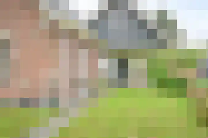 Kamerlingswijk WZ 88 Zwartemeer thumbnail 8