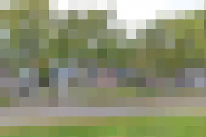 Kamerlingswijk WZ 88 Zwartemeer thumbnail 84