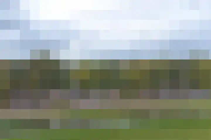 Kamerlingswijk WZ 88 Zwartemeer thumbnail 85