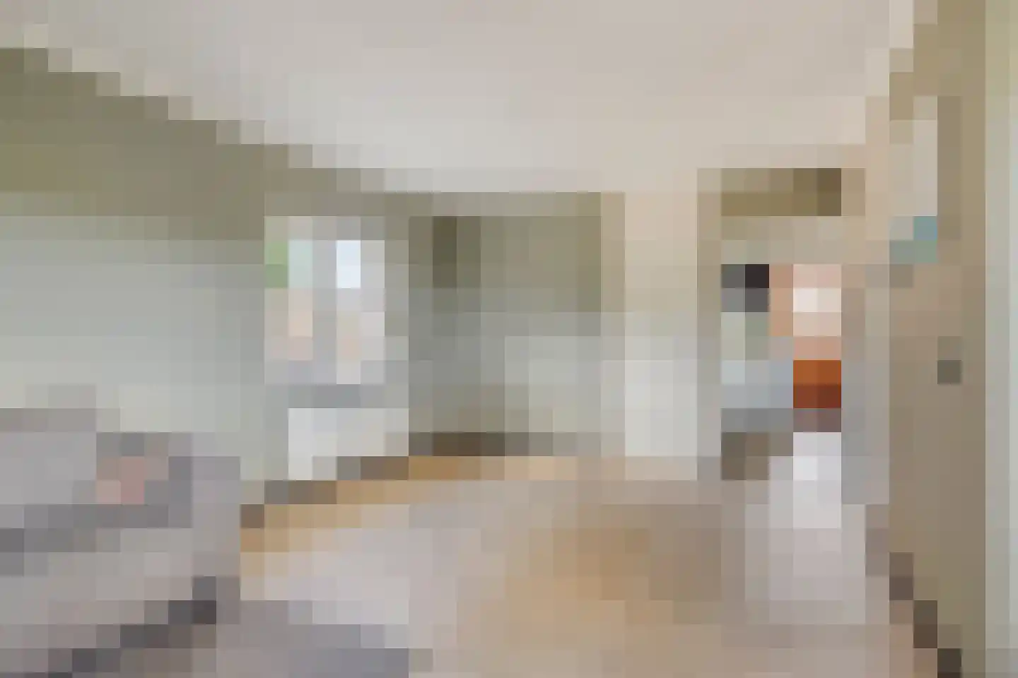 Kamerlingswijk WZ 9 Zwartemeer thumbnail 5