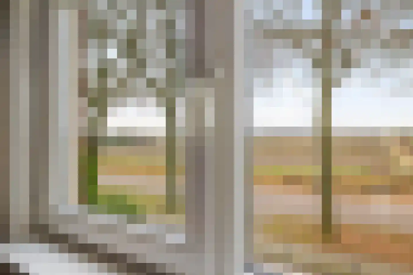 Kamerlingswijk WZ 91 Zwartemeer thumbnail 39