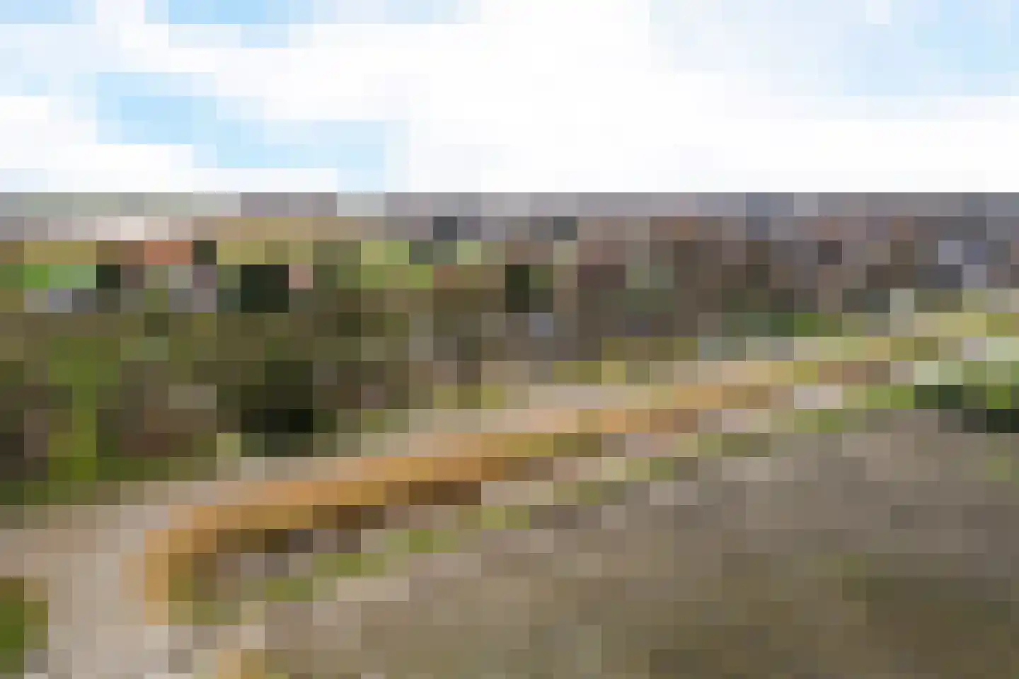 Kamerlingswijk WZ 91 Zwartemeer thumbnail 4