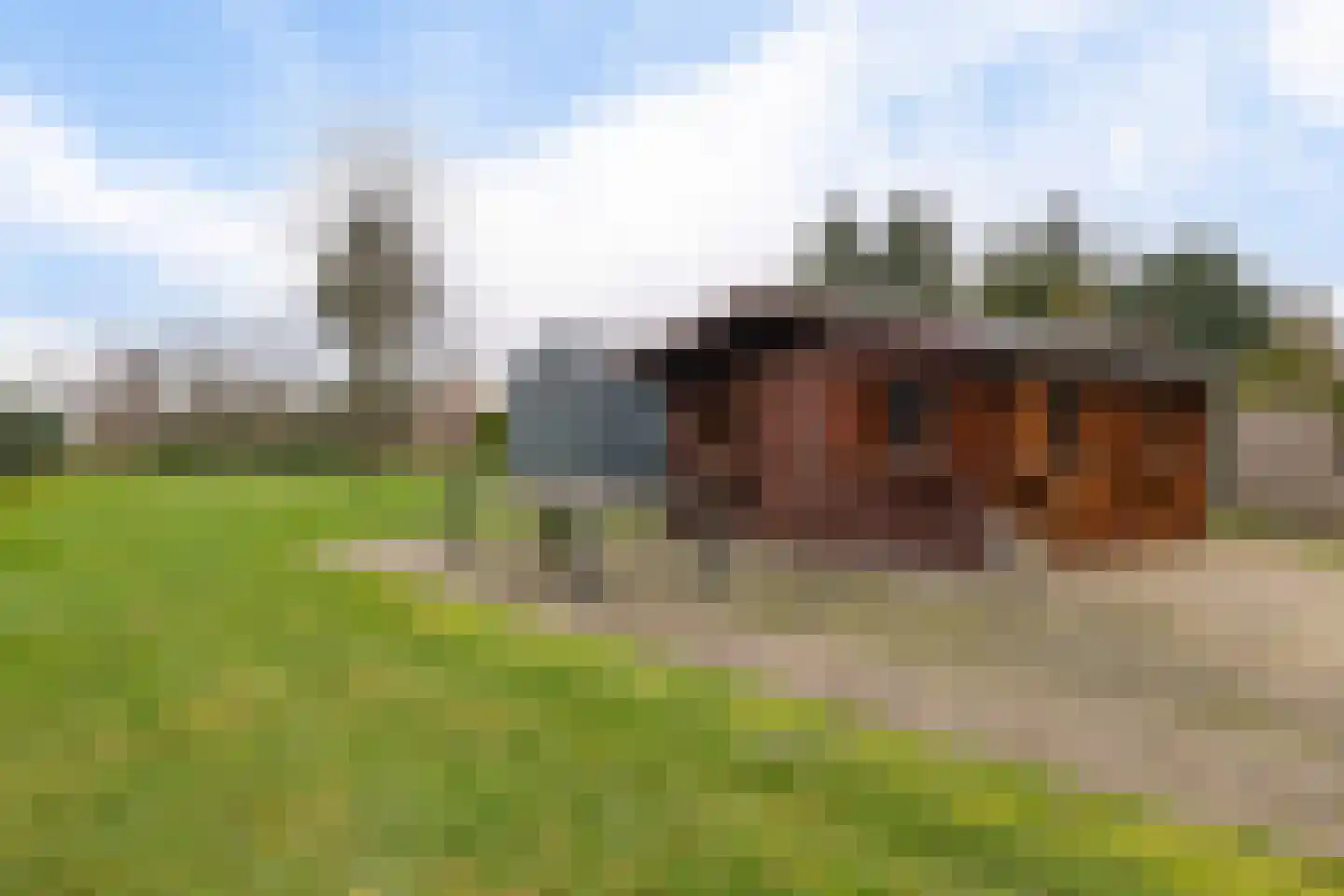 Kamerlingswijk WZ 91 Zwartemeer thumbnail 48