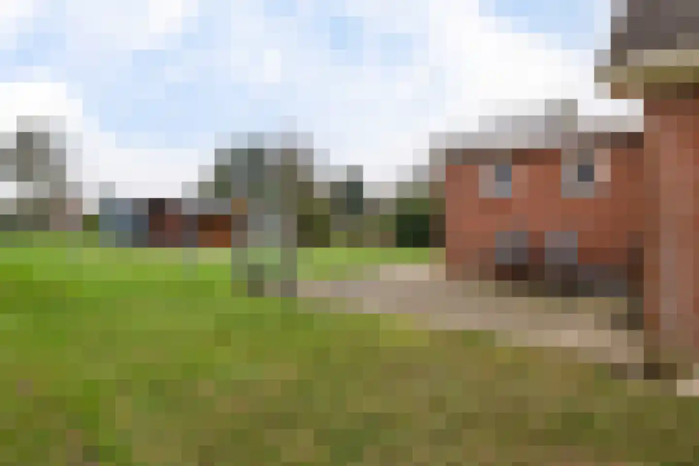 Kamerlingswijk WZ 91 Zwartemeer thumbnail 55