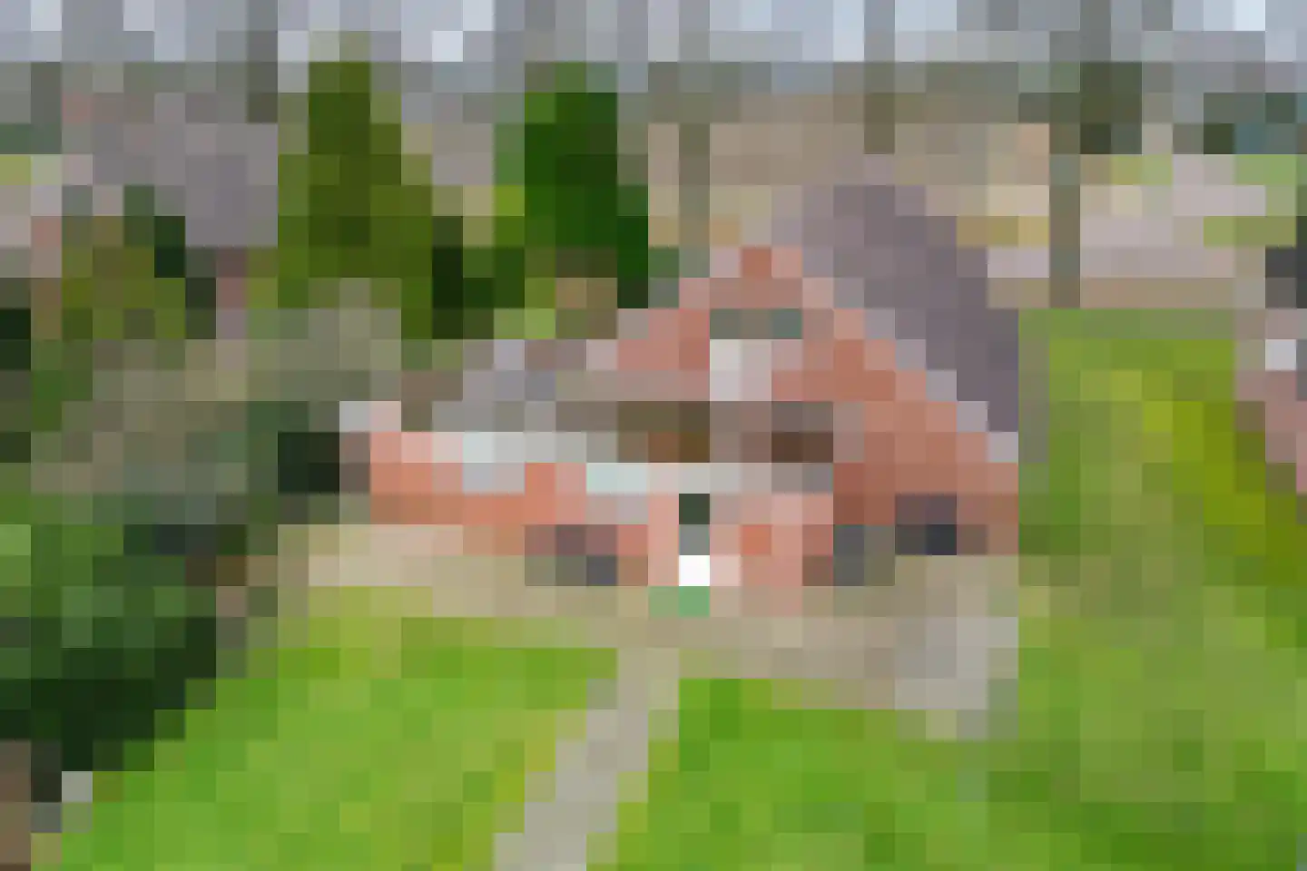 Kamerlingswijk WZ 91 Zwartemeer thumbnail 6