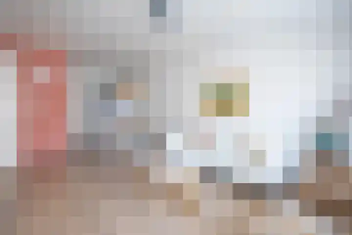 Kamerstraat 7 De Koog thumbnail 6