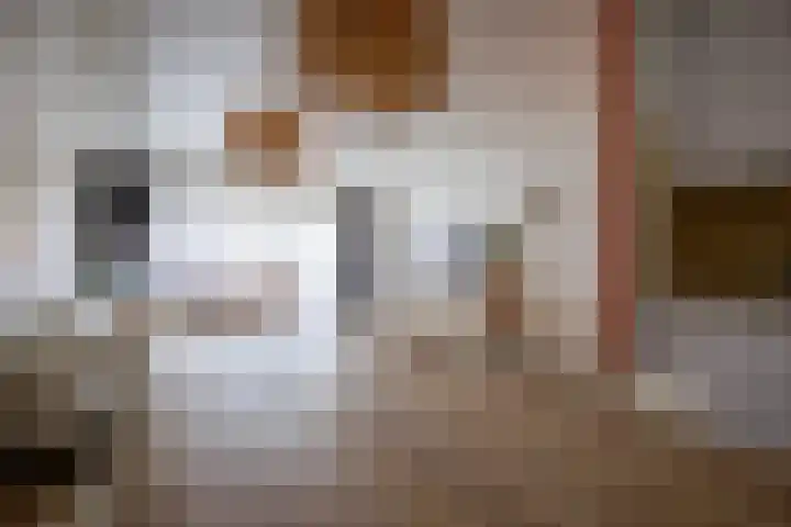 Kamerstraat 7 De Koog thumbnail 8