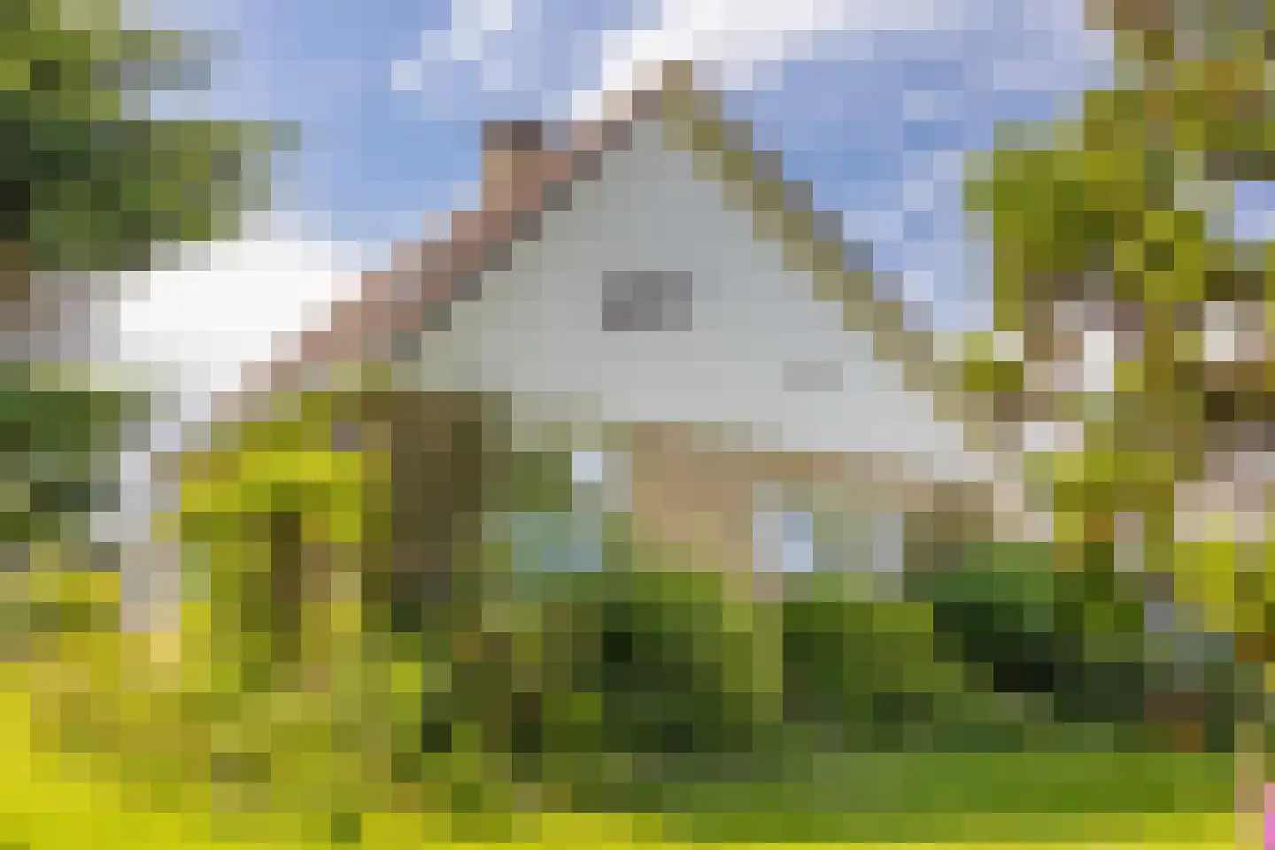 Kamerstraat 76 De Koog thumbnail 28