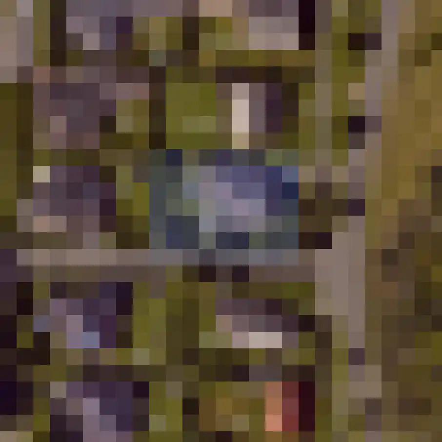Kamerstraat 76 De Koog thumbnail 35