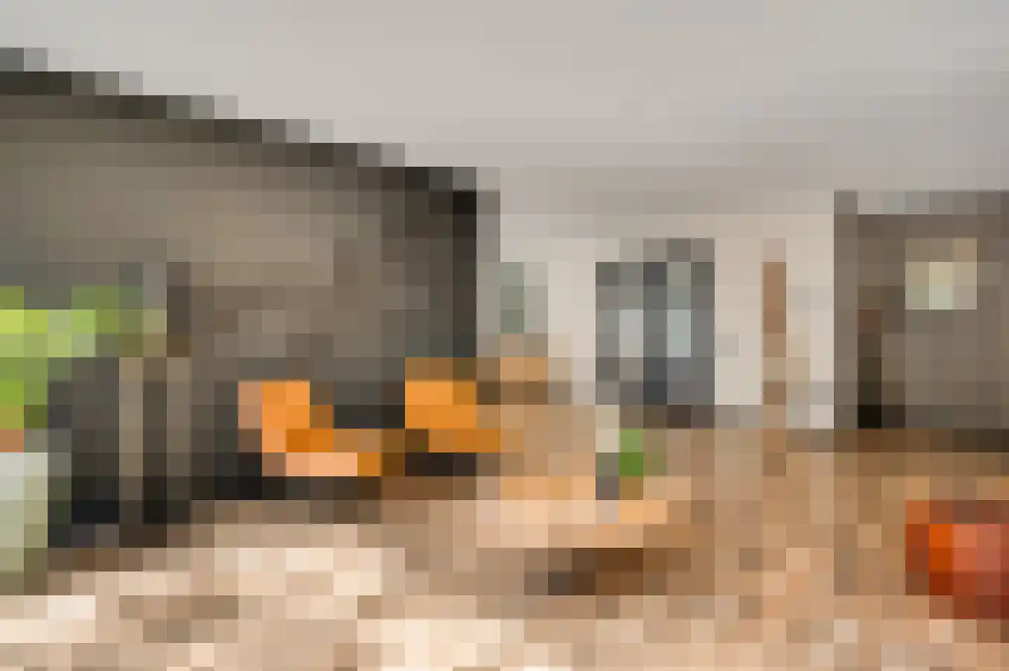Kamersven 8 Maarheeze thumbnail 13