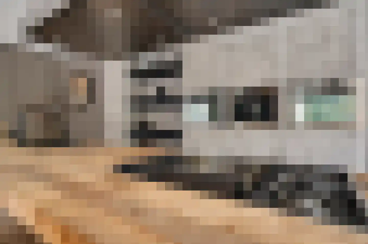Kamersven 8 Maarheeze thumbnail 17