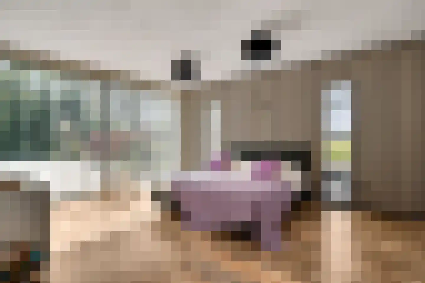 Kamersven 8 Maarheeze thumbnail 19