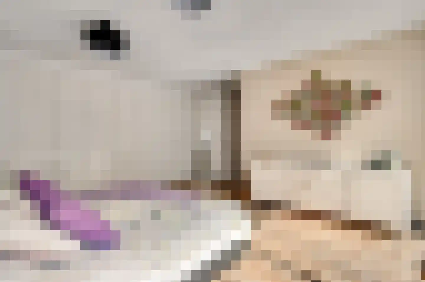 Kamersven 8 Maarheeze thumbnail 20
