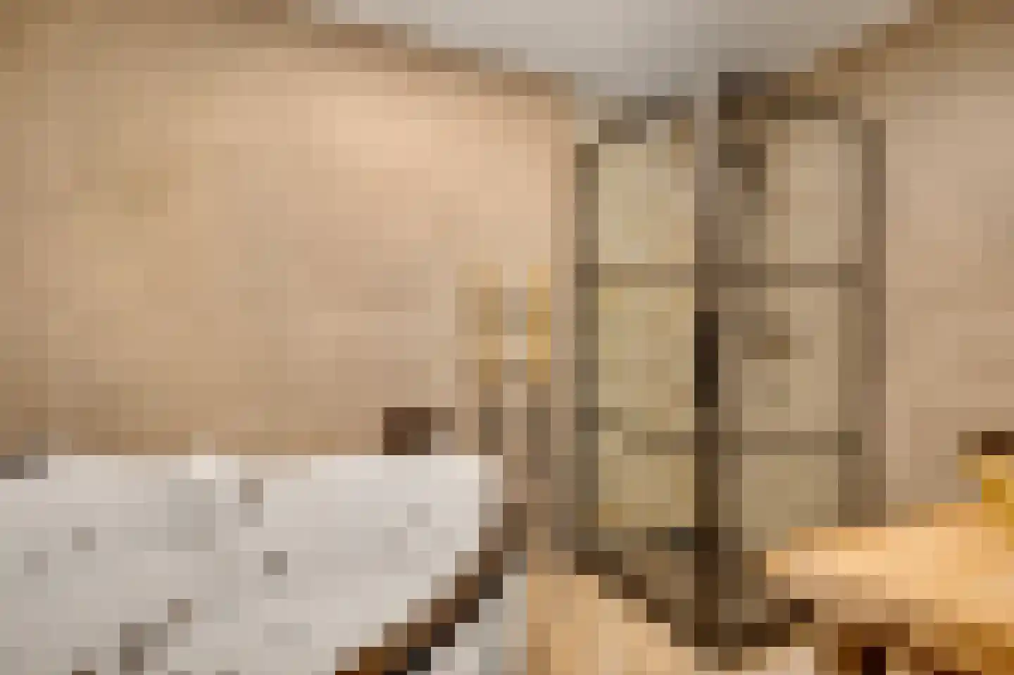 Kamersven 8 Maarheeze thumbnail 27