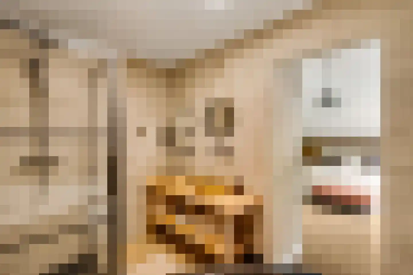 Kamersven 8 Maarheeze thumbnail 28