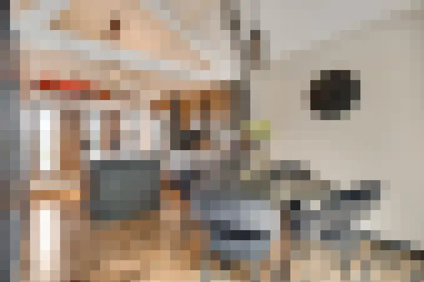Kamersven 8 Maarheeze thumbnail 33