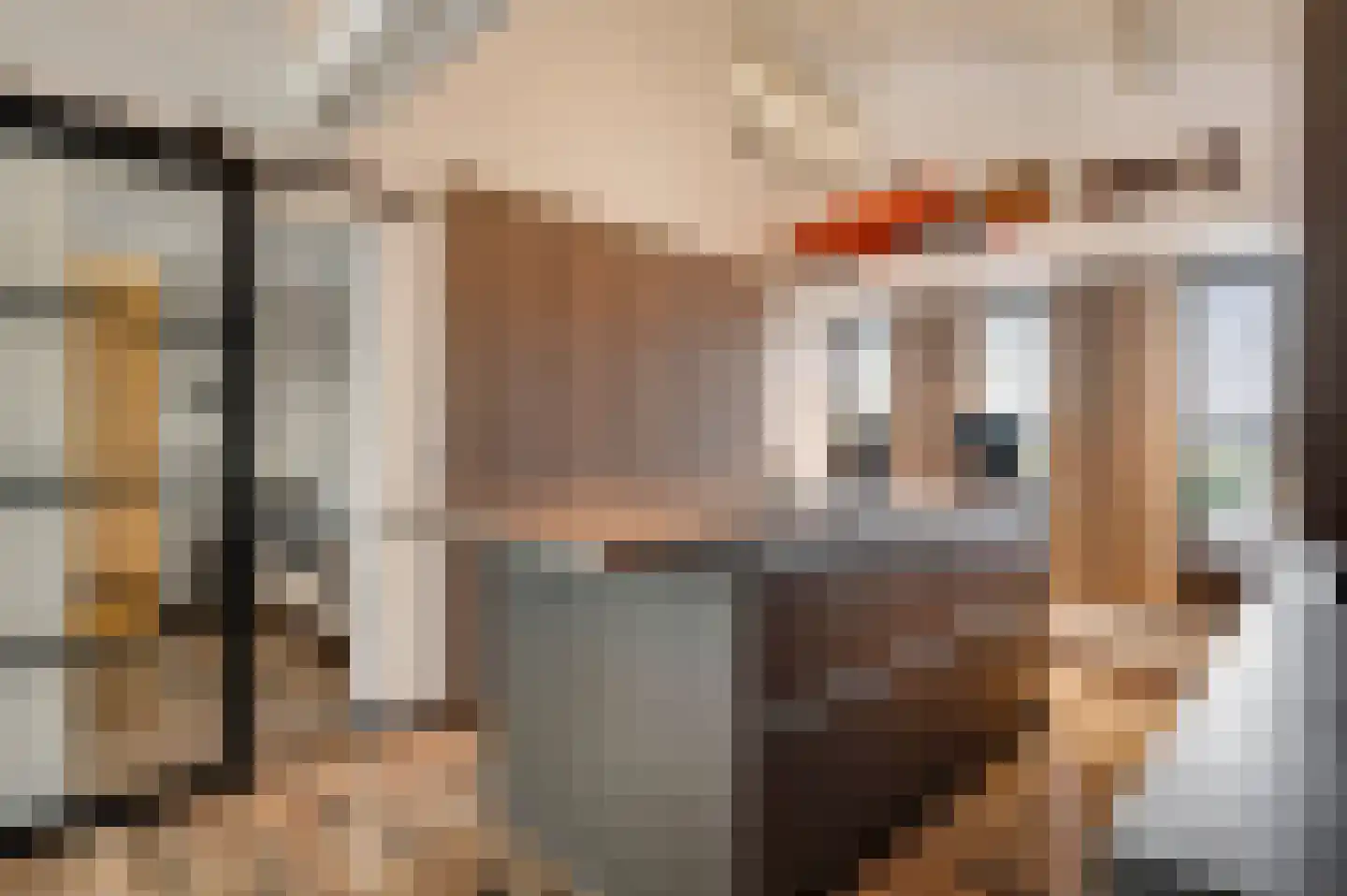 Kamersven 8 Maarheeze thumbnail 37