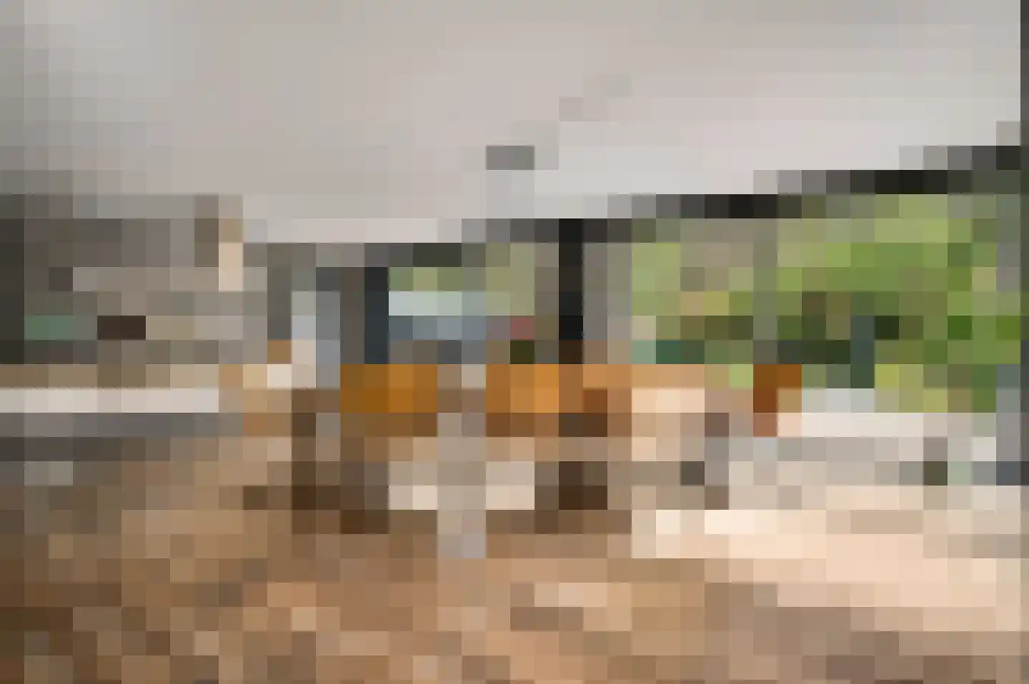 Kamersven 8 Maarheeze thumbnail 4